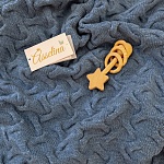 Плед "Остин", парламент