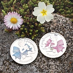 Подарочный набор "Икона и медаль на рождение девочки"